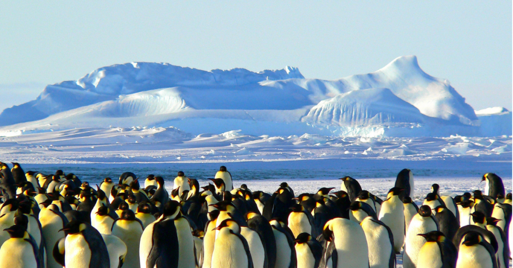 Antarktis er en verdensdel