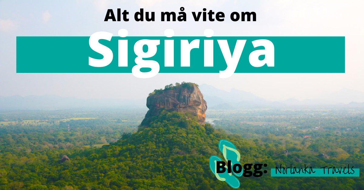 alt du må vite om løvehodet Sigiriya på Sri Lanka