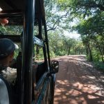 Yala safari sri Lanka
