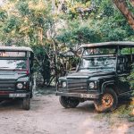 Yala Safari Camping Book with Norlanka Travels