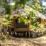 Yala Safari Camping Book with Norlanka Travels