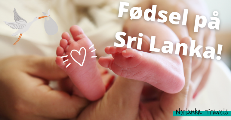 fødsel på sykehus i sri lanka