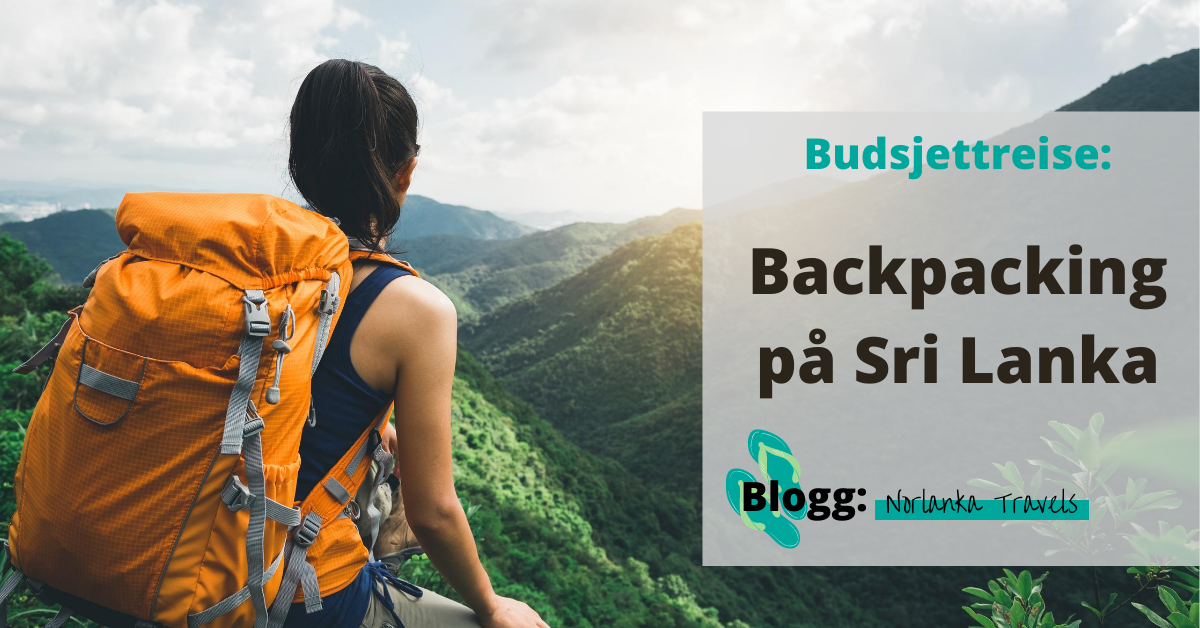 Backpacking reise på budsjett Sri Lanka