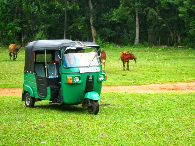 Hvordan kjøre tuktuk på Sri Lanka