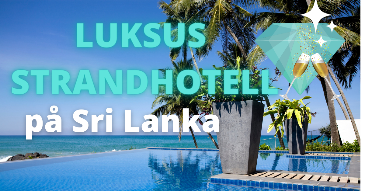 Luksus strandhotell på Sri Lanka